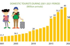 Domestic tourism a sustainable and promising market