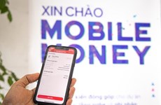 Piloting “mobile money”: Enterprises ready to join the race