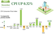 November CPI up 0.32 percent 