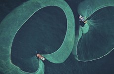 Vietnamese wins marine conservation photography prize