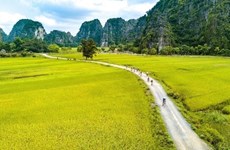 Tourism week to promote Ninh Binh’s beauty