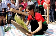 Tu Le young sticky rice flake festival honours traditional culture