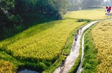 Agrotourism breathes fresh air to rural development