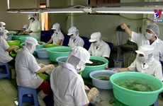 Vietnam holds huge potential in seaweed farming