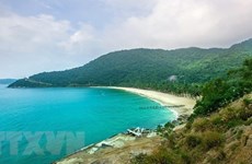 Four best spots for snorkelling in Vietnam