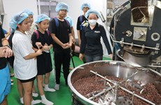 Authentic Vietnamese chocolate from Southwest region