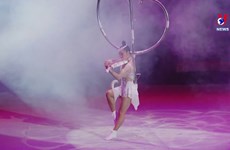 Vietnamese circus working hard to attract audiences