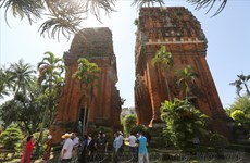 Twin Towers - A highlight of Cham culture in Quy Nhon