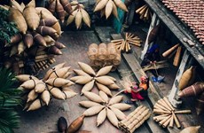 Fish trap weaving – An unique traditional job in Northern Delta region