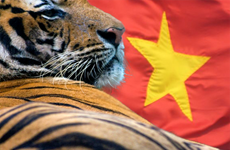 Vietnam can be a top-performing Asian economy in 2020