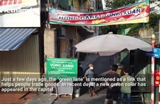 Hanoi protects people in the COVID-19 epidemic with green areas