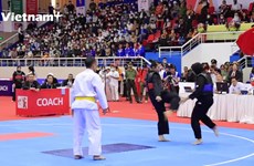 The decisive strikes that lead to a gold medal in the Pencak Silat competition