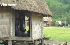 The mission to preserve the traditional houses of the Co Tu ethnic group