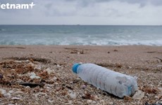 First district in Viet Nam to ban single-use plastic