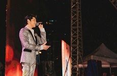 Vietnamese stars to perform at F-Fair Vietnam 2020