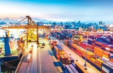 EVFTA presents tremendous trade, investment advantages