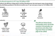 Agricultural exports in H1 top 20 billion USD 