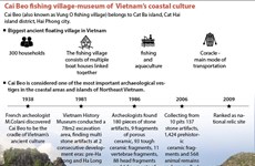 Cai Beo fishing village-museum of Vietnam's coastal culture