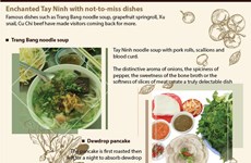 Enchanted Tay Ninh with not-to-miss dishes