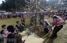 Gau Tao festival - special feature of Mong ethnic people