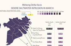 Mekong Delta faces severe saltwater intrusion in March
