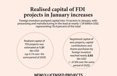 Realised capital of FDI  projects in January increases