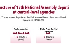 Structure of 15th National Assembly deputies at central-level agencies