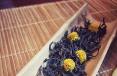 Enjoying chrysanthemum tea in Hanoi’s autumn days 