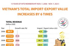 15 years of Vietnam's WTO membership