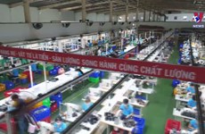 HCM City export businesses gradually return to normal