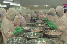 Seafood sector striving to boost exports