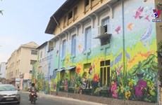 Murals give new look to HCM City’s old apartment buildings