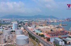 Ba Ria-Vung Tau - 30 years of development