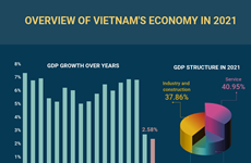 (Interactive) Overview of Vietnam's economy in 2021