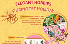Elegant hobbies during Tet holiday