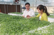 Bac Giang promotes technology transfer in agricultural production