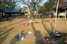 Nine Myanmar policemen die in Rakhine attack