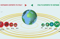 Vietnam - Italy trade partnership