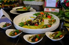 Lam Dong sets record with 100 artichoke dishes