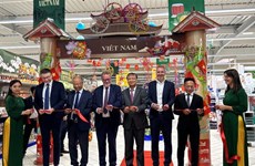 Vietnamese goods introduced in France