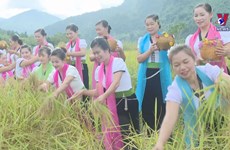Young rice festival of Thai ethnics in Lai Chau province