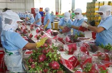 Fruit, vegetable exports to top 5.5 billion USD