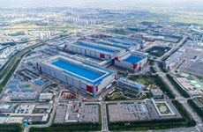 Vietnam holds large potential to develop semiconductor
