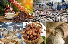 Agro-forestry-fishery trade surplus up nearly 2.9-fold