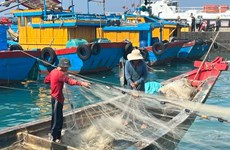Collective efforts yield success in preventing IUU fishing