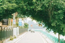 Quang An listed among the coolest streets in the world