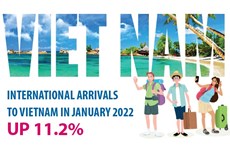 International arrivals to Vietnam up 11.2% in January 