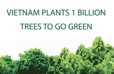 Vietnam plants 1 billion trees to go green