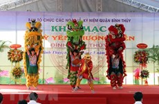 Ky Yen Thuong Dien festival - Can Tho’s biggest festival
