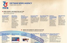 Vietnam News Agency - A large media consortium
